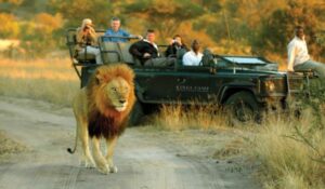 5+ Safari Lodges with Private Airstrip South Africa