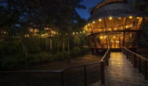 Top 5 Luxury Eco Lodges Peru Amazon Private Experience